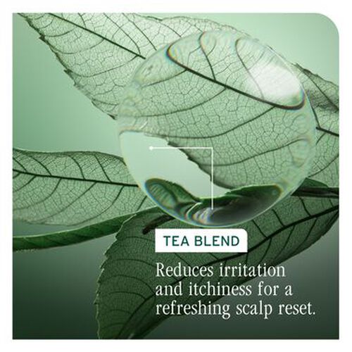 Scalp Sync Calming Shampoo - Biolage Renovation NZ | L'Or&eacute;al Partner Shop